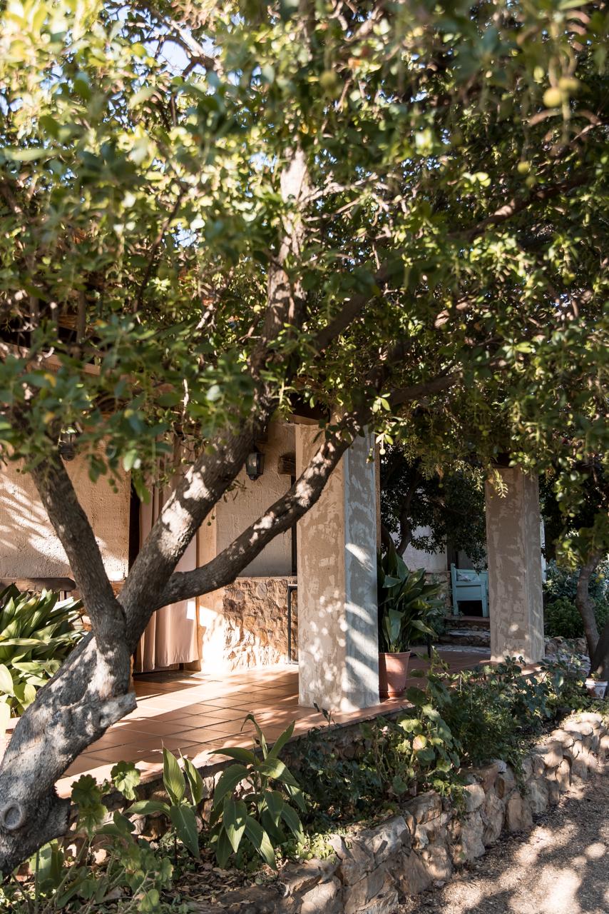 An apartment porch glimpsed through the branches of a tree in the garden.
