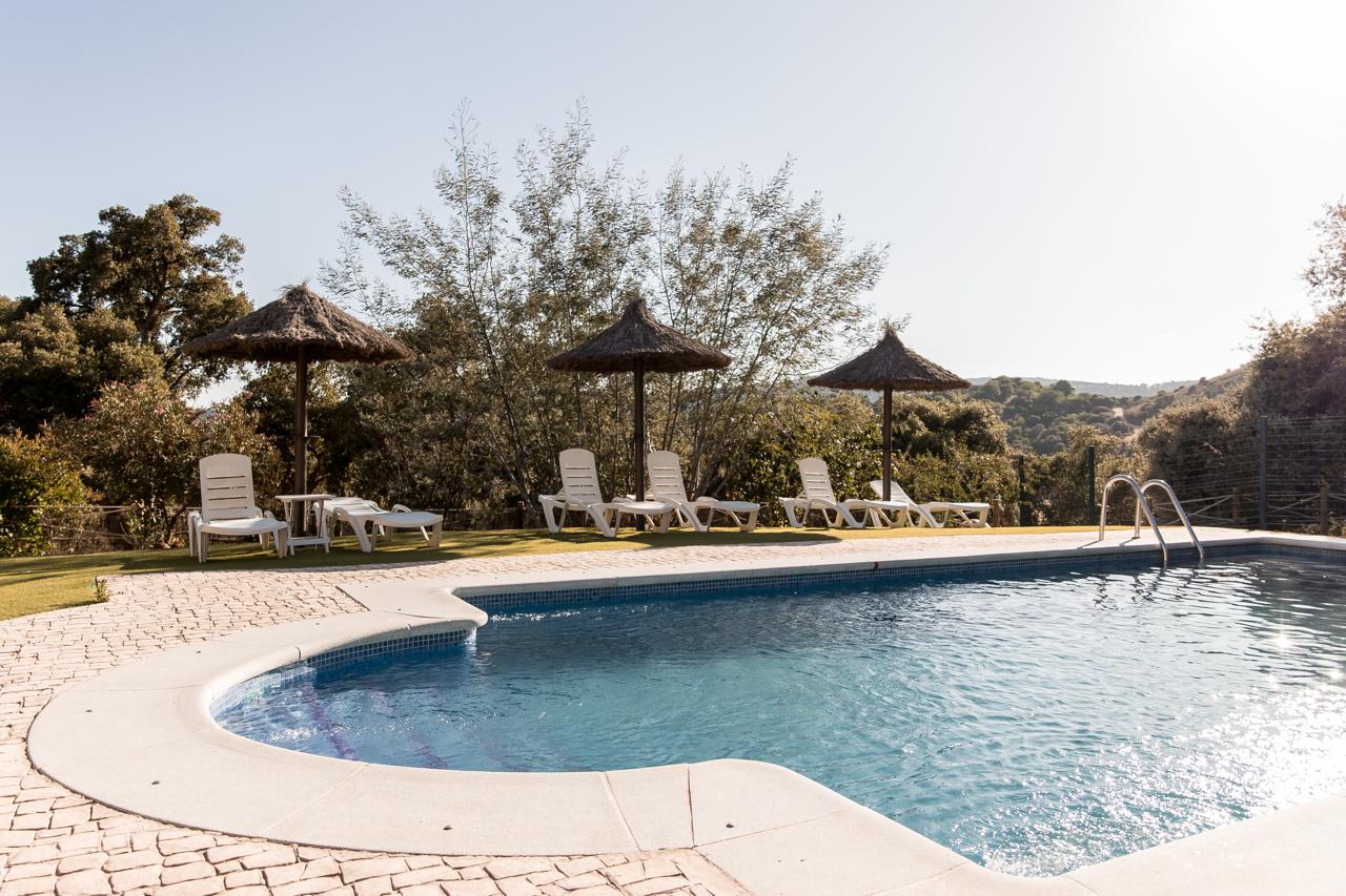 The pool in daylight with thatched parasols, sun loungers and the wooded hillside beyond.