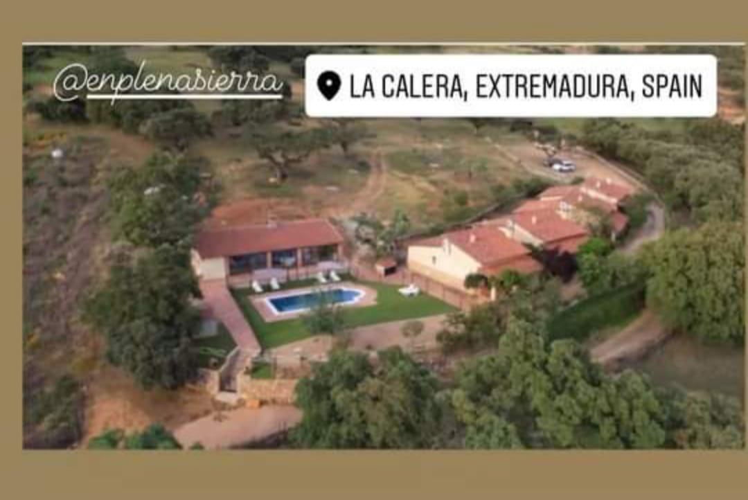 Aerial view of the whole property, showing the buildings arranged around the pool.